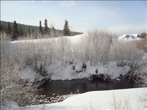 Breck2008 012.jpg